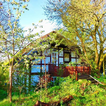 Natururlaub Frankenau Dış mekan fotoğraf